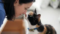 猫がいつもあなたの鼻に鼻をくっつけてくる？専門家がその仕草の真の意味を明かした