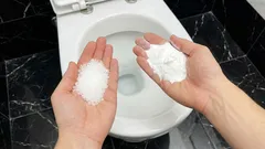 トイレの塩と重曹:なぜ配管工が推奨し、その有用性とは