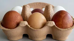 冷蔵庫の卵が腐っているか見分ける3つの方法 - 思ったより簡単