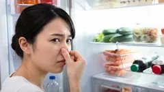 市販の化学製品なしでも冷蔵庫を清潔な香りに：普通のボウルが効果的