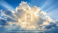 ハーバード大学の物理学者が宇宙における楽園の正確な位置を突き止めた